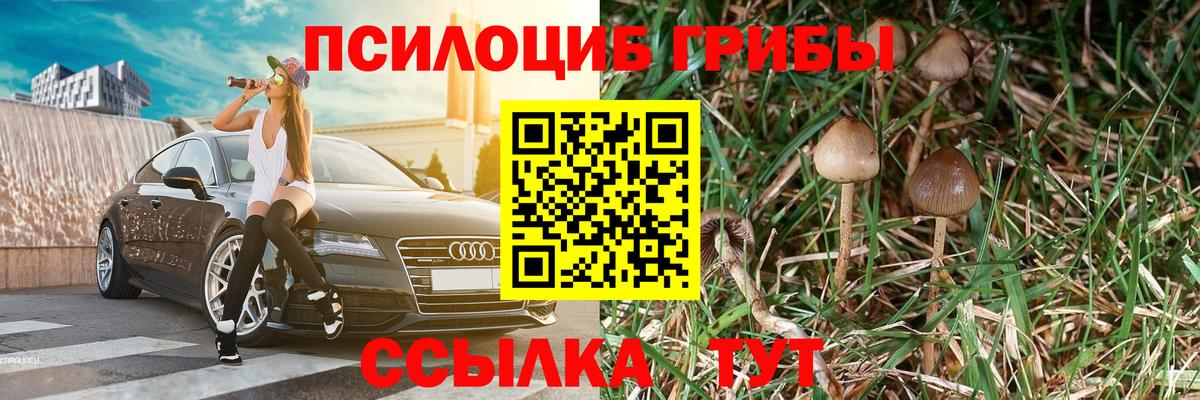 Галлюциногенные грибы MAGIC MUSHROOMS Чусовой