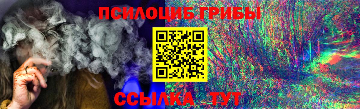 Галлюциногенные грибы Cubensis  Вход с VPN  Чусовой 